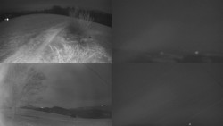 Sdružený snímek Bludný