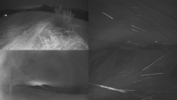 Sdružený snímek Bludný