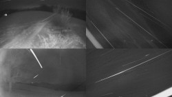 Sdružený snímek Bludný