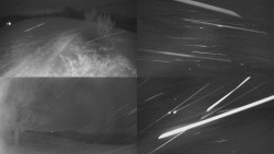 Sdružený snímek Bludný