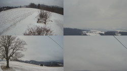 Sdružený snímek Bludný