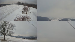 Sdružený snímek Bludný