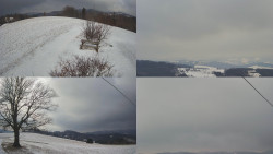 Sdružený snímek Bludný