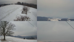 Sdružený snímek Bludný