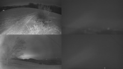 Sdružený snímek Bludný