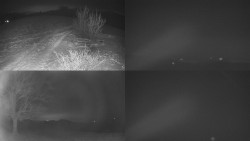 Sdružený snímek Bludný