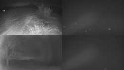 Sdružený snímek Bludný