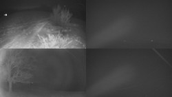 Sdružený snímek Bludný