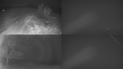 Sdružený snímek Bludný