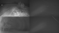 Sdružený snímek Bludný