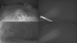 Sdružený snímek Bludný