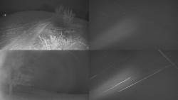 Sdružený snímek Bludný