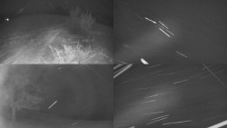 Sdružený snímek Bludný