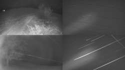 Sdružený snímek Bludný