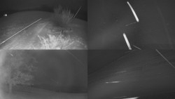 Sdružený snímek Bludný