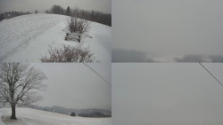 Sdružený snímek Bludný