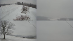 Sdružený snímek Bludný