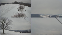 Sdružený snímek Bludný