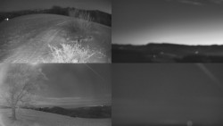 Sdružený snímek Bludný