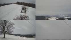 Sdružený snímek Bludný