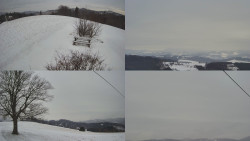 Sdružený snímek Bludný