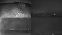 Sdružený snímek Bludný