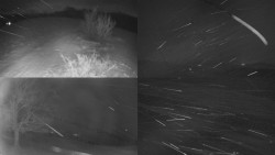 Sdružený snímek Bludný