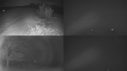 Sdružený snímek Bludný