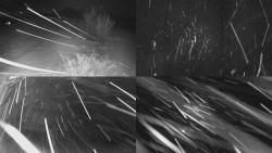 Sdružený snímek Bludný