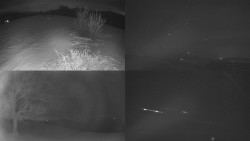 Sdružený snímek Bludný