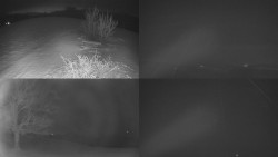 Sdružený snímek Bludný