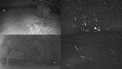 Sdružený snímek Bludný