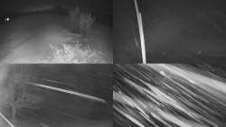 Sdružený snímek Bludný