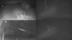 Sdružený snímek Bludný