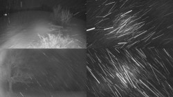 Sdružený snímek Bludný