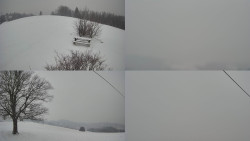 Sdružený snímek Bludný