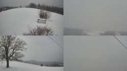 Sdružený snímek Bludný