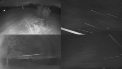 Sdružený snímek Bludný