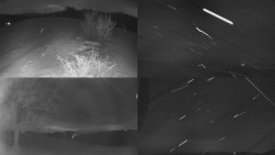 Sdružený snímek Bludný