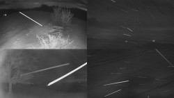 Sdružený snímek Bludný