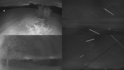 Sdružený snímek Bludný