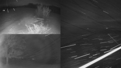 Sdružený snímek Bludný