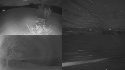 Sdružený snímek Bludný