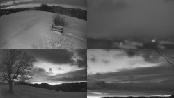 Sdružený snímek Bludný