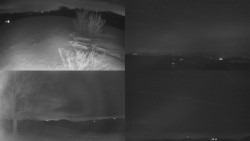 Sdružený snímek Bludný