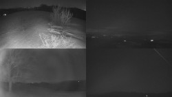 Sdružený snímek Bludný