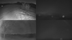 Sdružený snímek Bludný