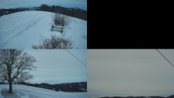 Sdružený snímek Bludný