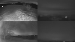 Sdružený snímek Bludný