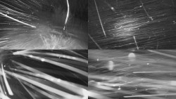 Sdružený snímek Bludný